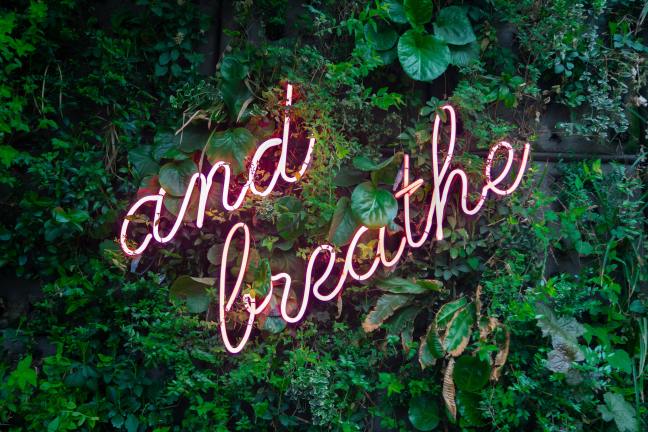 neon sign of 'and breathe' on leafy background